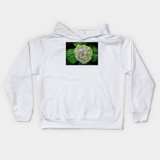 Lovely Hydrangea Kids Hoodie